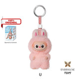 THE MONSTERS LABUBU V4 Pin for Love Vinyl Plush Pendant A-M N-Z Secret Heart ! Bagcharm